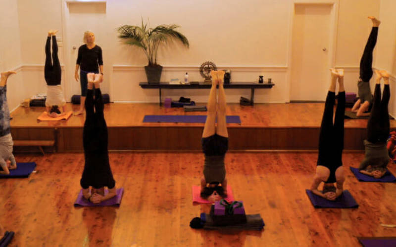Forward Bends and Hip-Opening Poses for Intermediate and Advanced Students