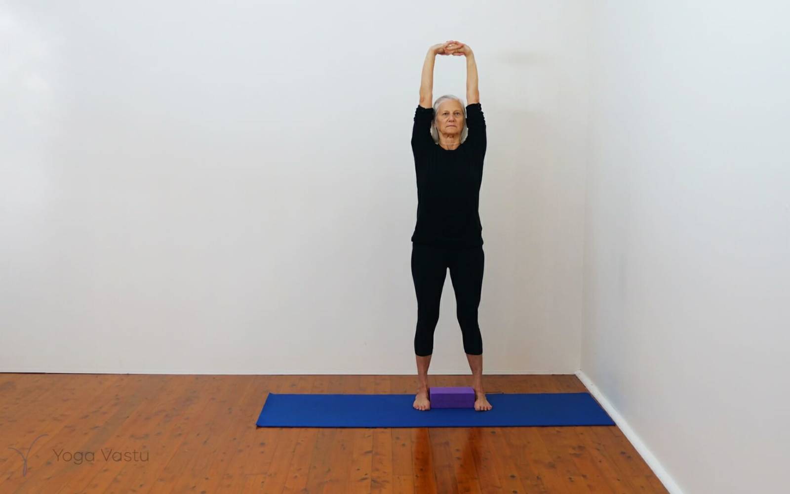 Online Iyengar yoga videos | Developing stability and focus using supports