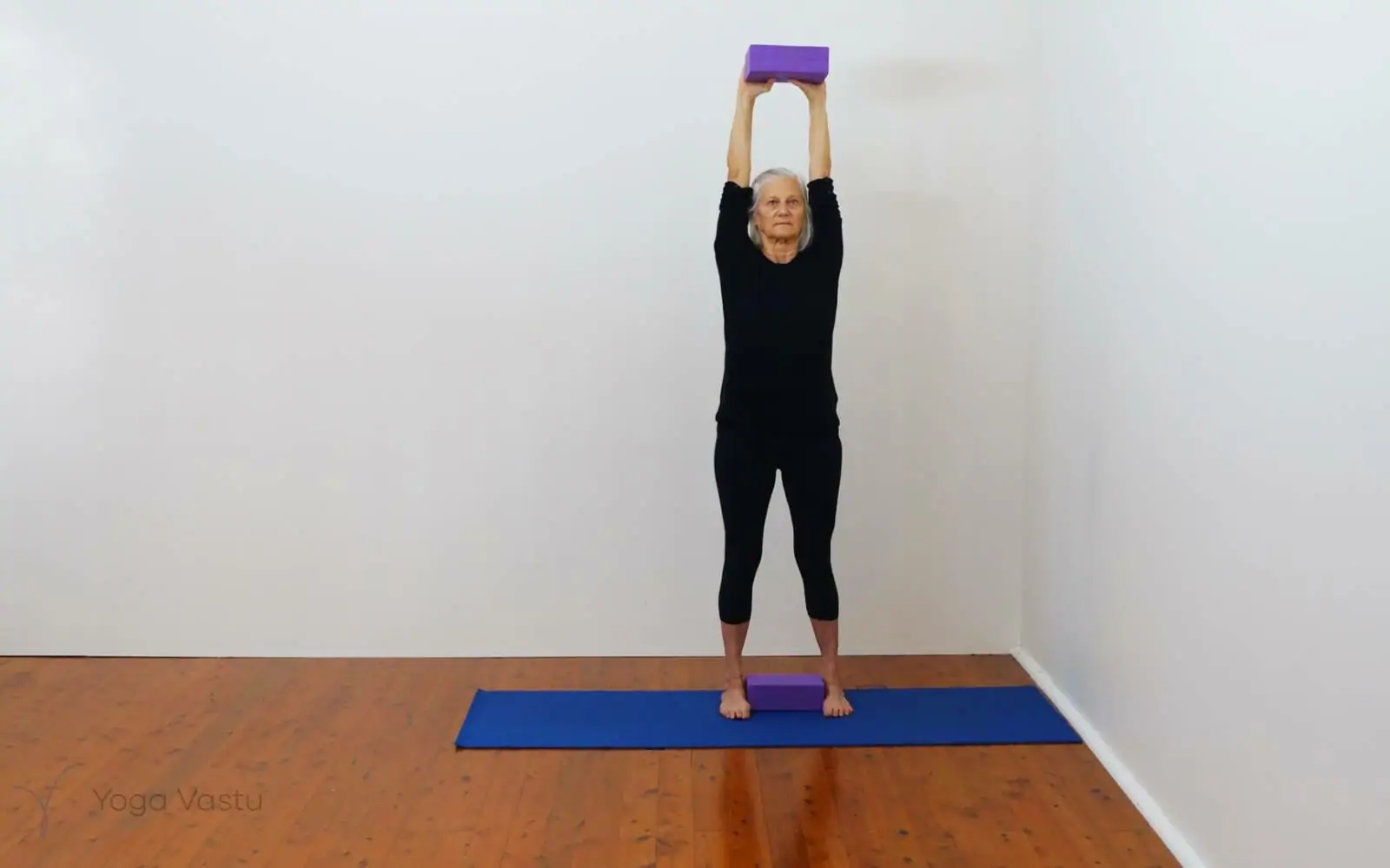 Online Iyengar yoga videos | Developing stability and focus using supports