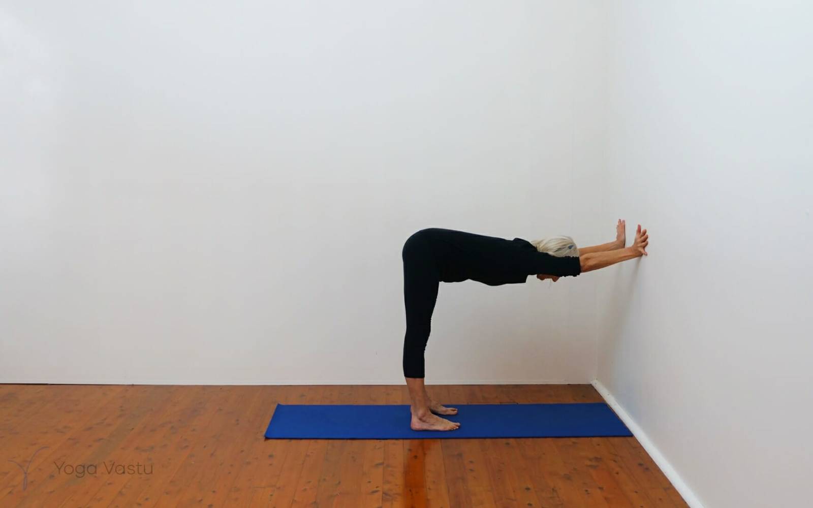 Online Iyengar yoga videos | Developing stability and focus using supports