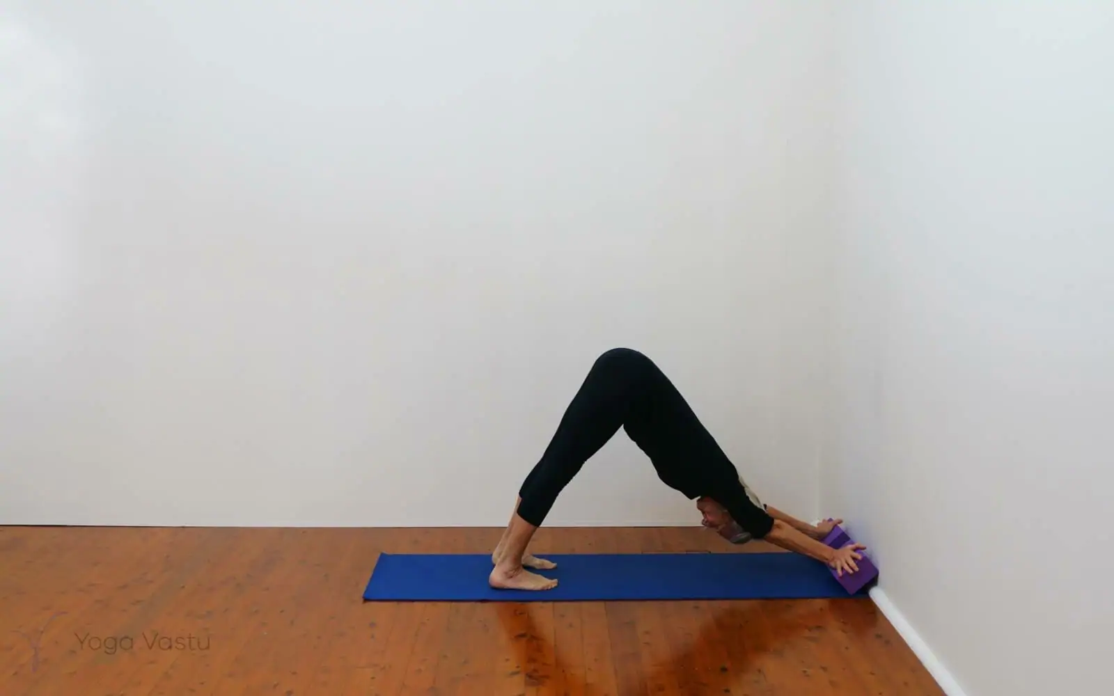 Online Iyengar yoga videos | Developing stability and focus using supports