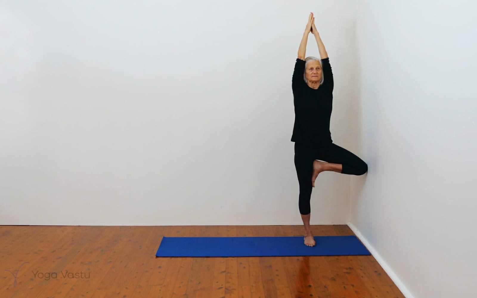 Online Iyengar yoga videos | Developing stability and focus using supports