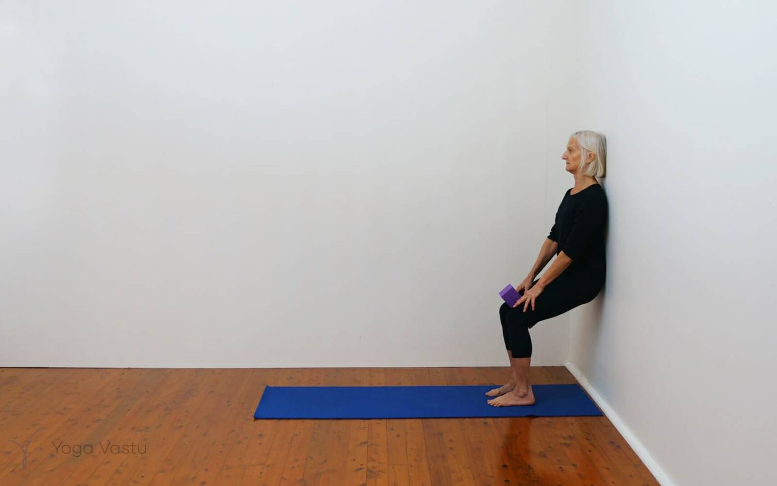 Online Iyengar yoga videos | Developing stability and focus using supports