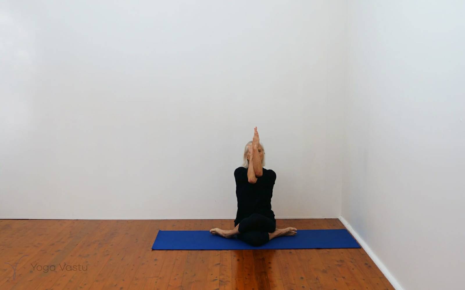 Online Iyengar yoga videos | Developing stability and focus using supports