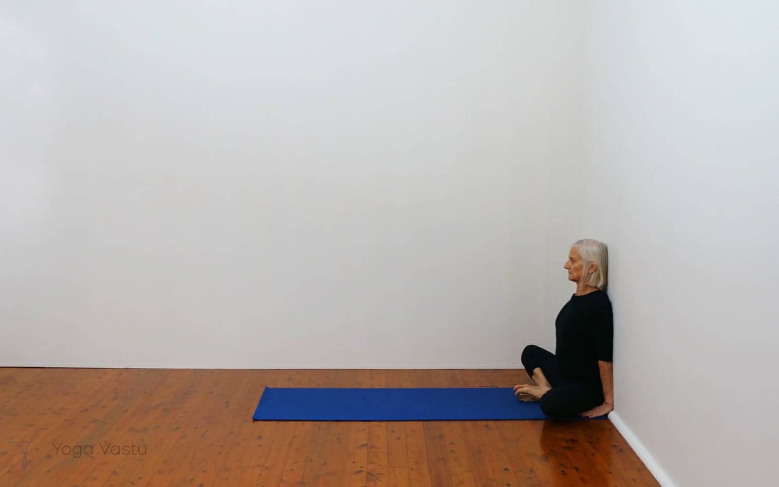 Online Iyengar yoga videos | Developing stability and focus using supports