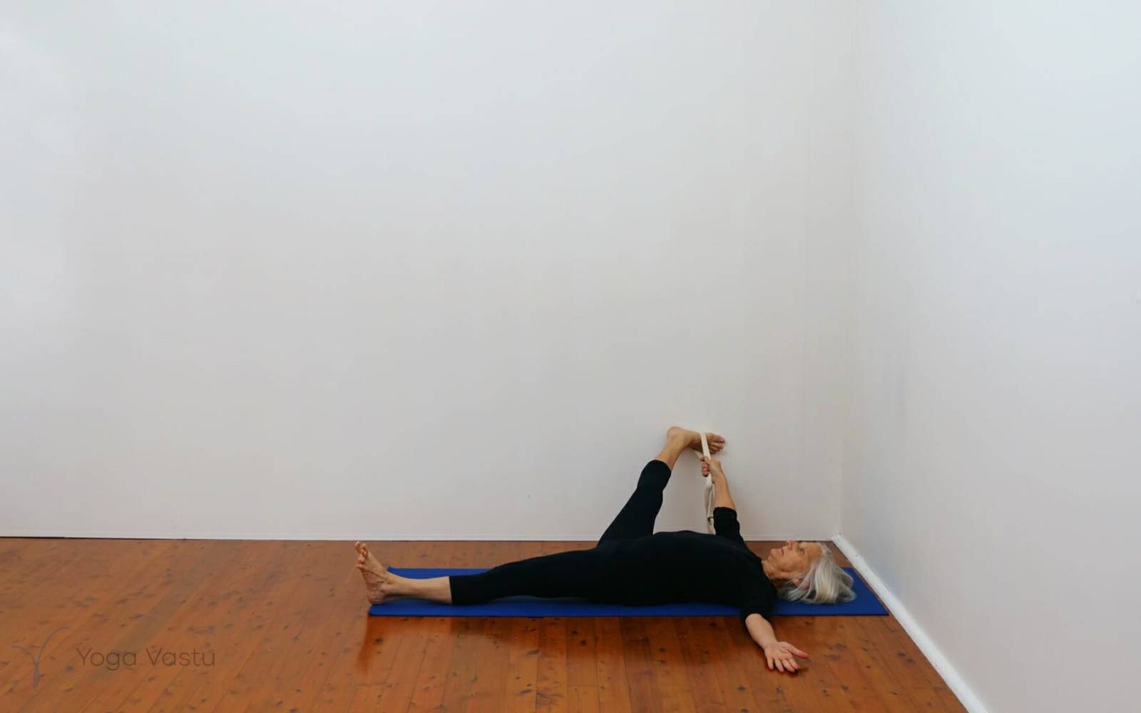 Online Iyengar yoga videos | Developing stability and focus using supports
