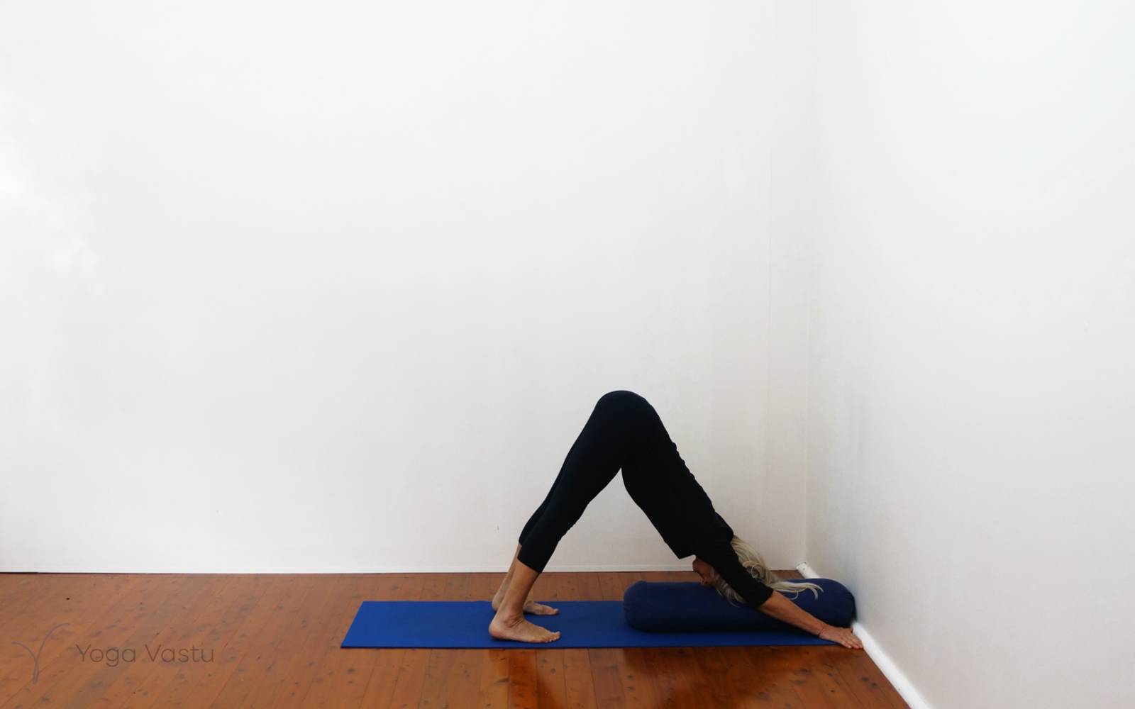 Online Iyengar yoga videos | Building stability and focus in restorative poses