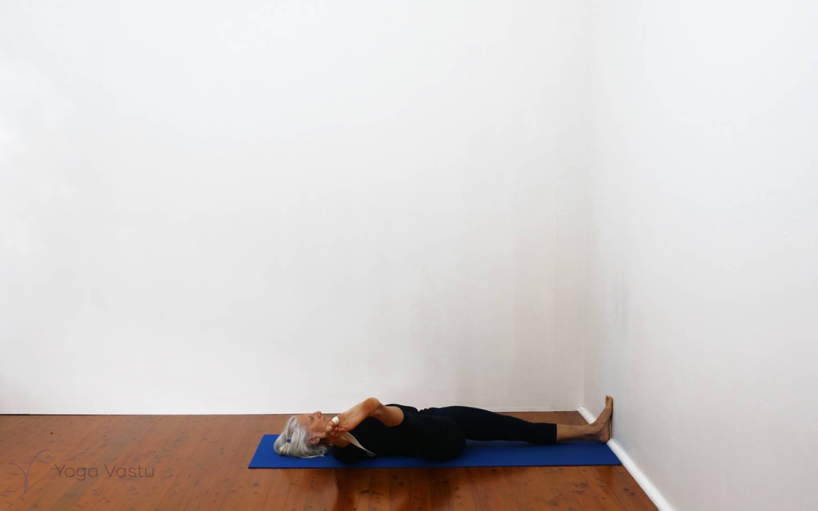 Online Iyengar yoga videos | Building stability and focus in restorative poses