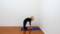 Iyengar yoga video thumbnail: Backbends with a leg and hip focus
