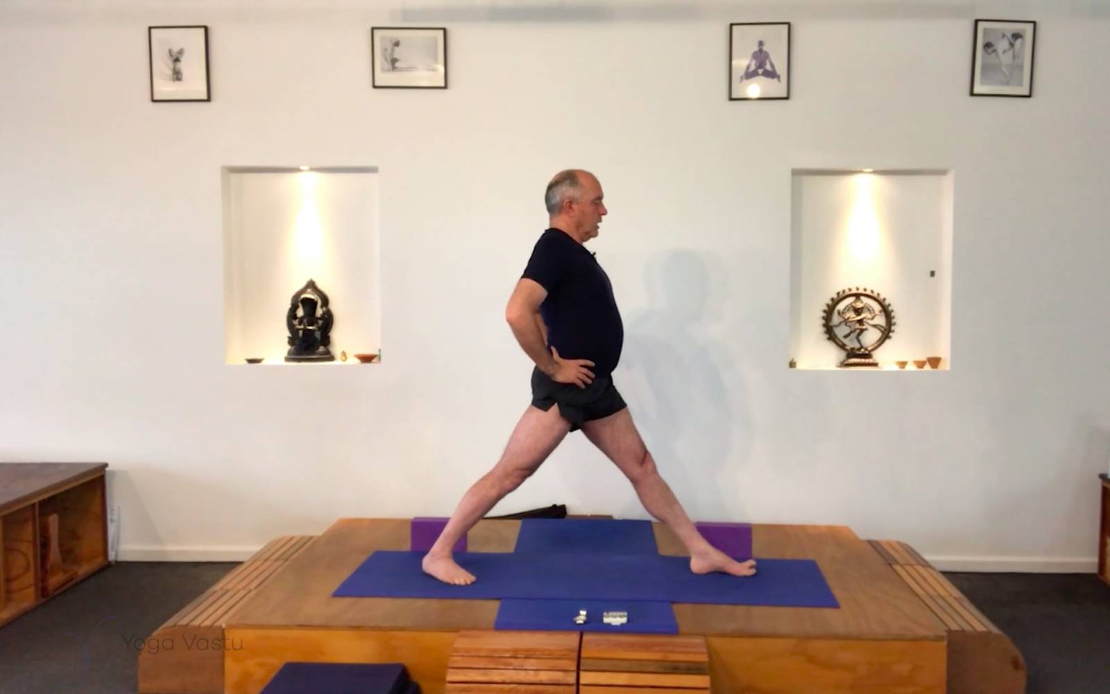 Online Iyengar yoga videos | Action and Observation in Yoga