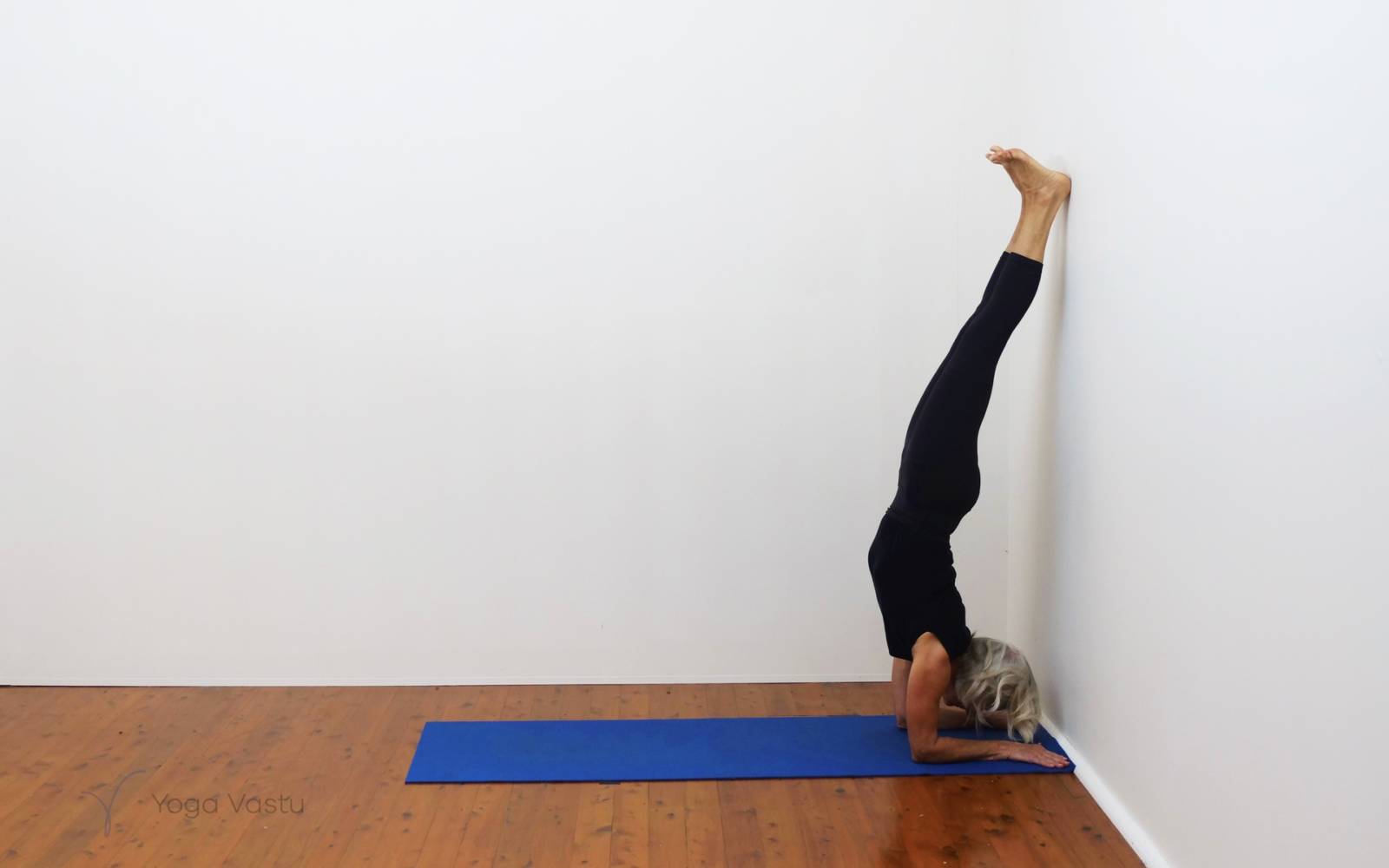 Standing poses with wall support for general level students - Yoga