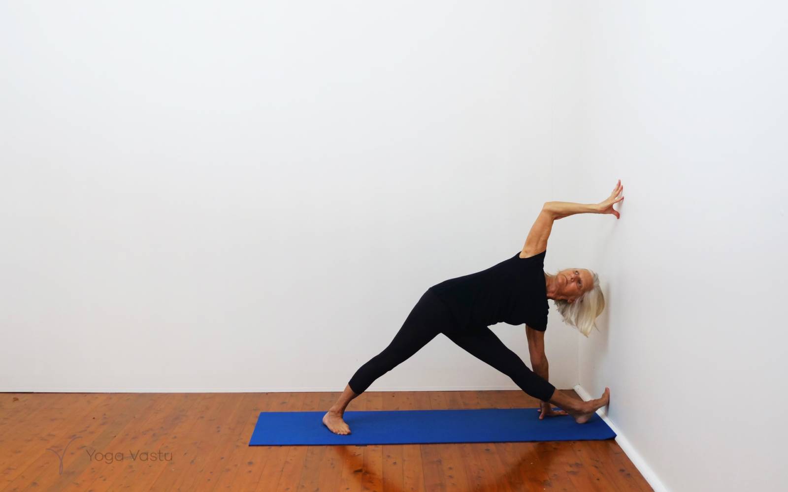 💪😬5️⃣ Min Wall Plank Challenge🔥🌟HS - Free Shoulder Workout by  𝔻𝕖𝕤𝕖𝕣𝕥 𝔽𝕠𝕩🦊 🌟. - Skimble