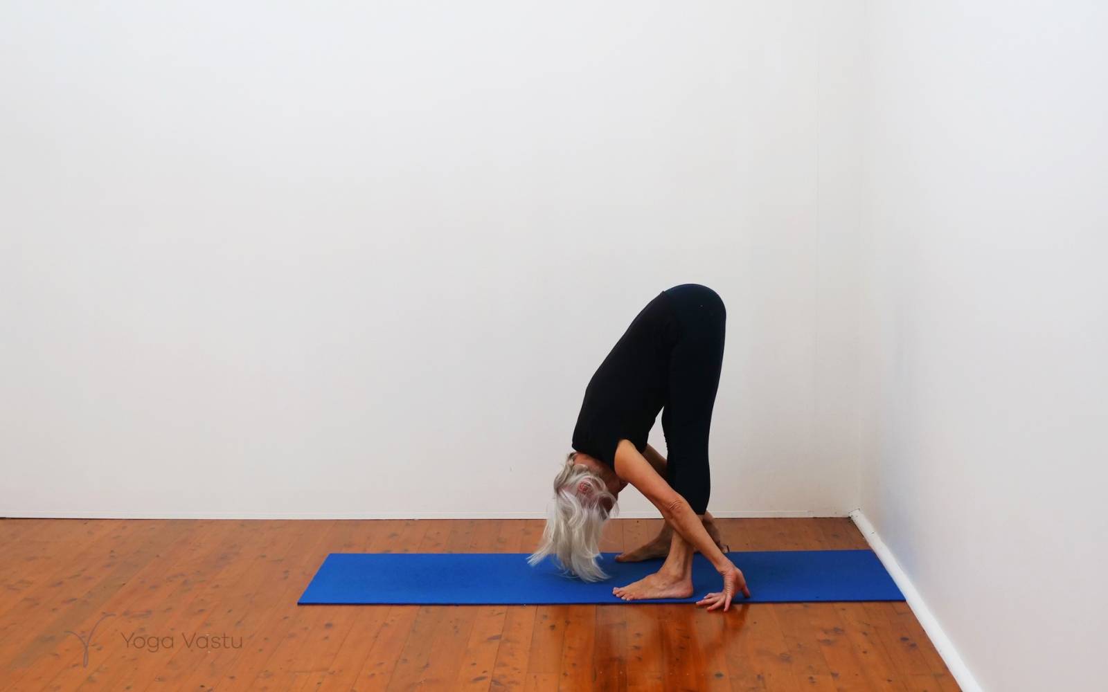 Online Iyengar yoga videos | Restorative and seated pranayama session for general level students