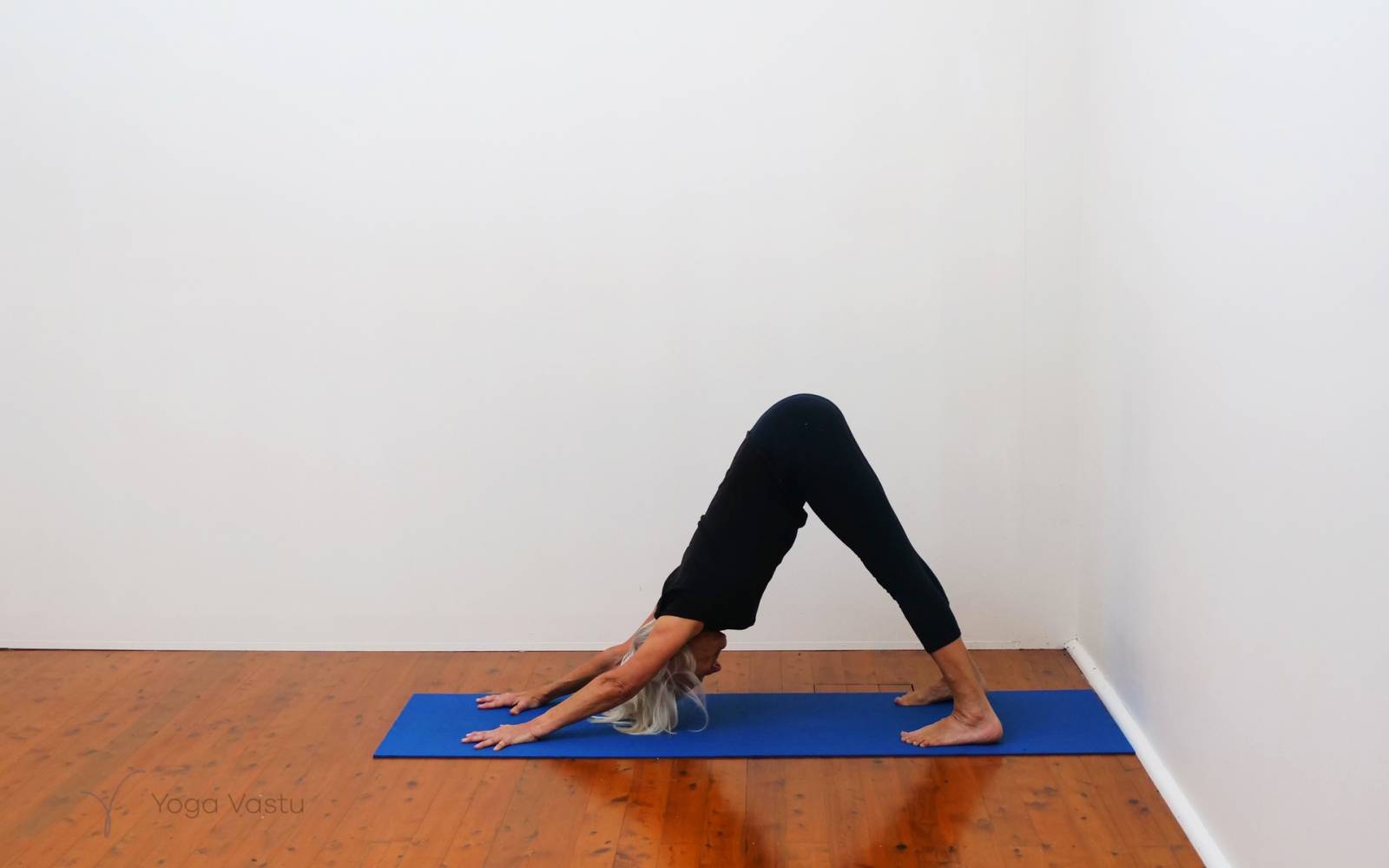 Online Iyengar yoga videos | Restorative and seated pranayama session for general level students