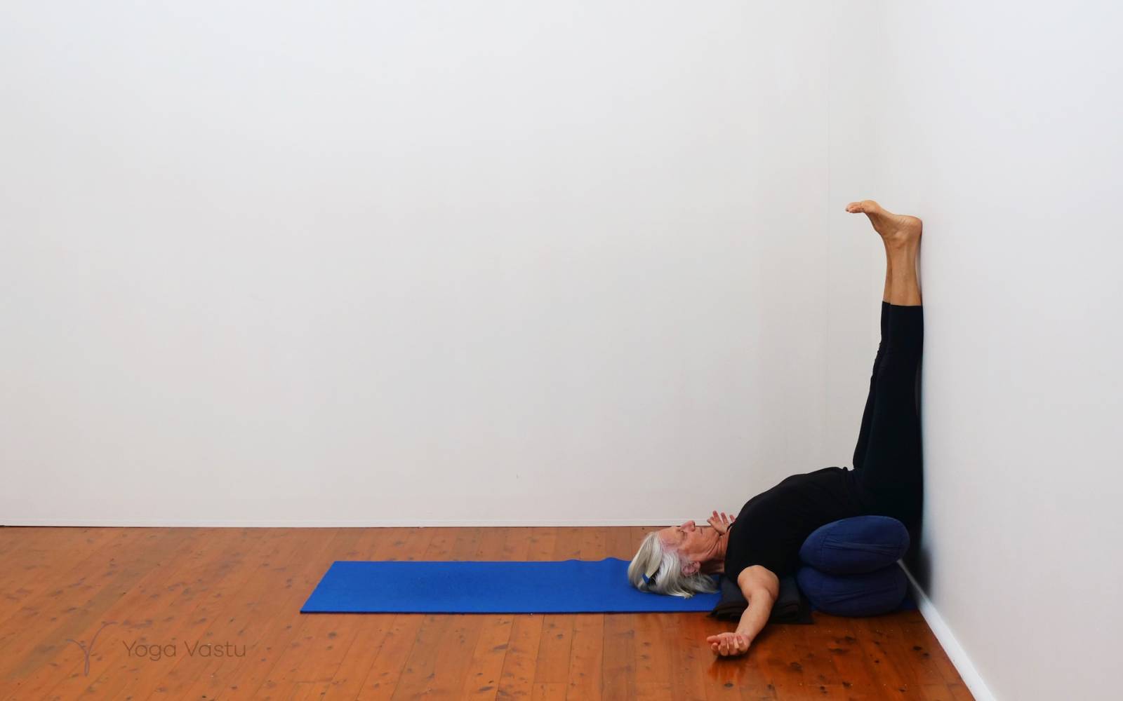 Online Iyengar yoga videos | Restorative and seated pranayama session for general level students