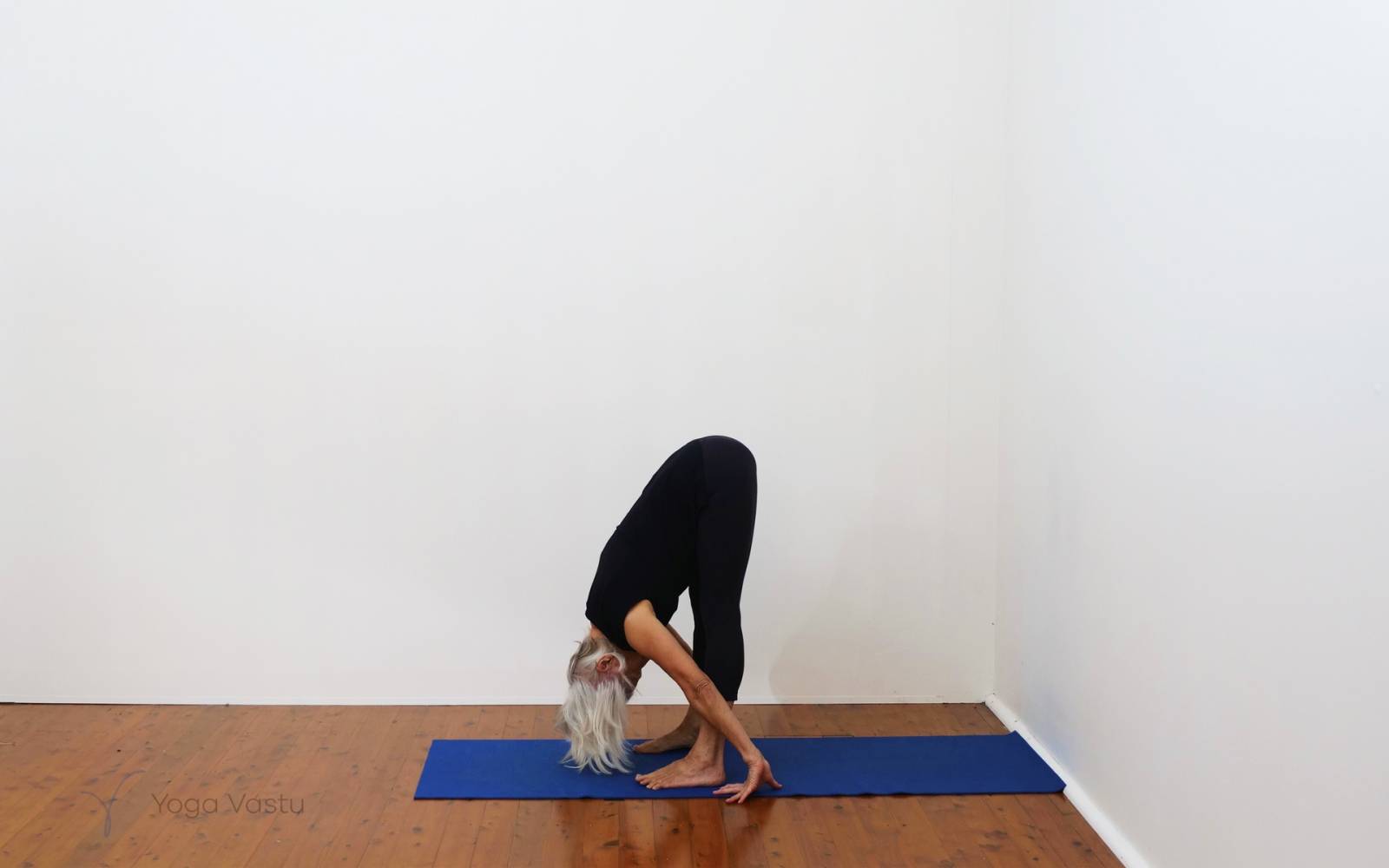 Online Iyengar yoga videos | Forward bends with emphasis on hips and hamstrings