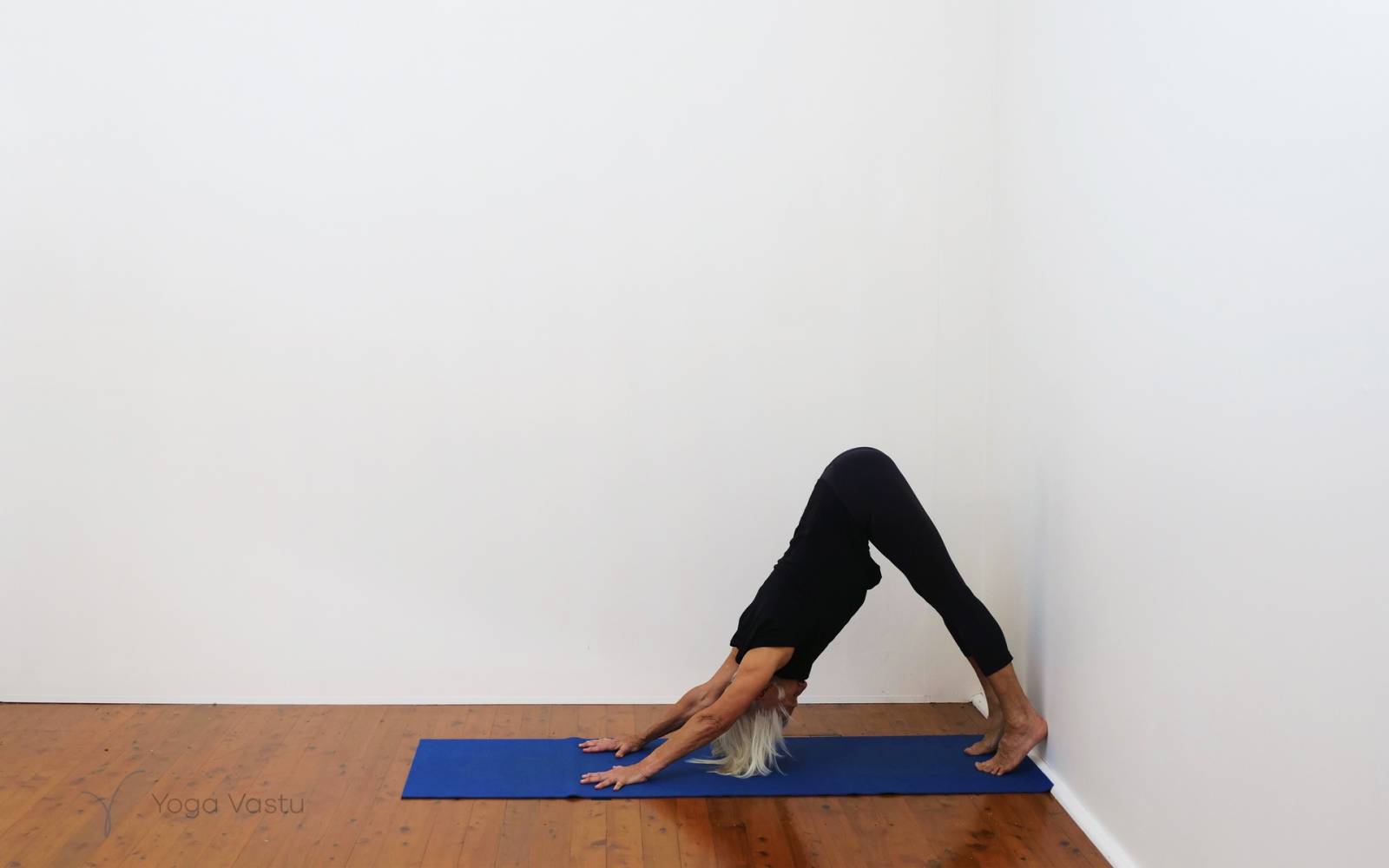 Online Iyengar yoga videos | Forward bends with emphasis on hips and hamstrings