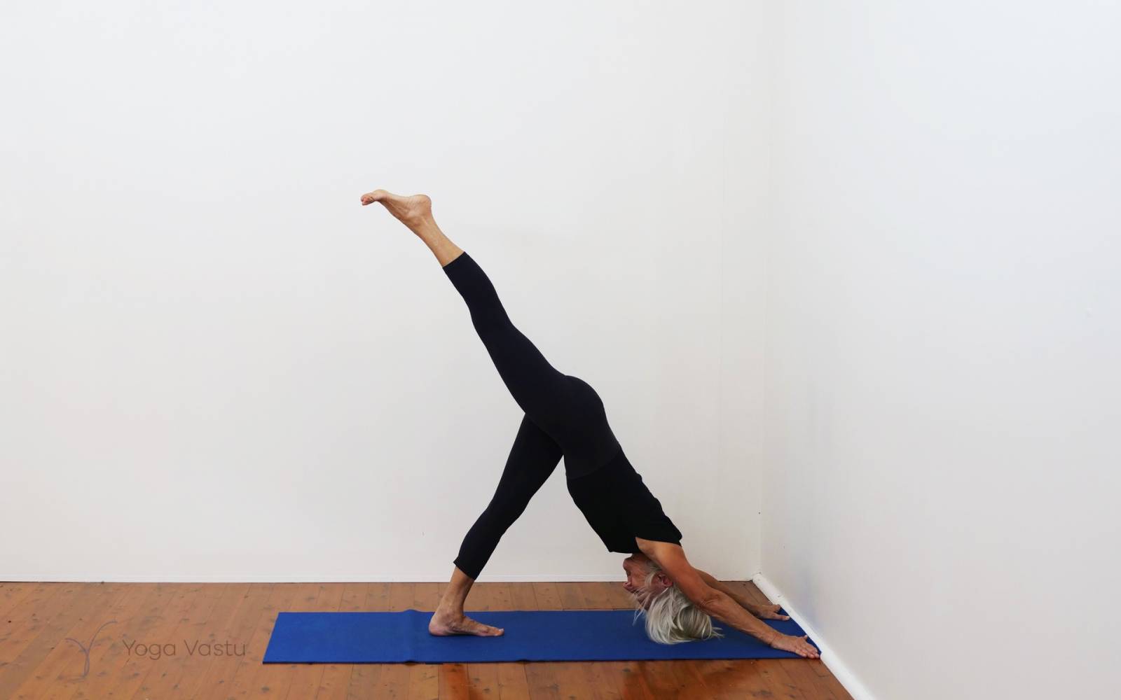 Online Iyengar yoga videos | Forward bends with emphasis on hips and hamstrings
