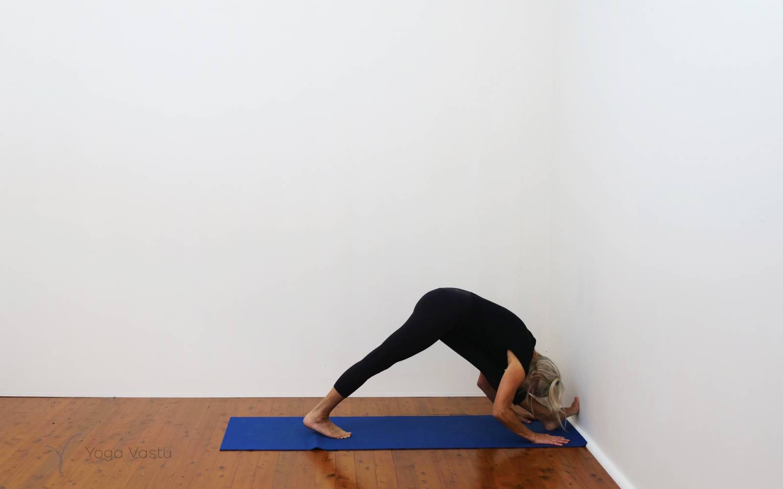 Online Iyengar yoga videos | Forward bends with emphasis on hips and hamstrings