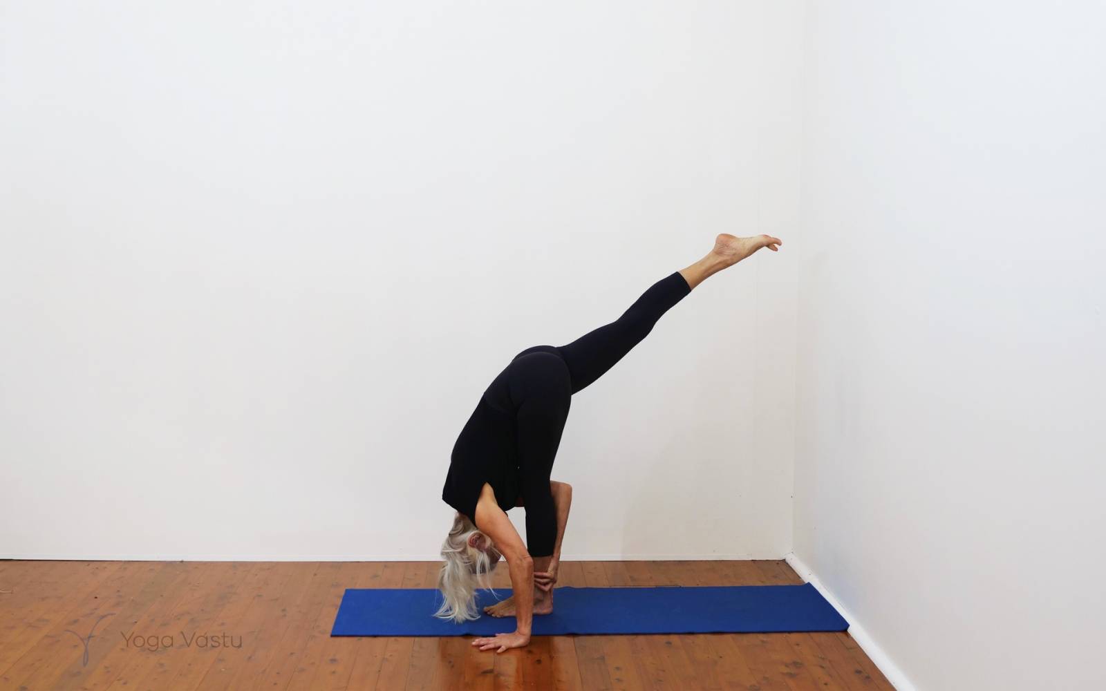 Online Iyengar yoga videos | Forward bends with emphasis on hips and hamstrings