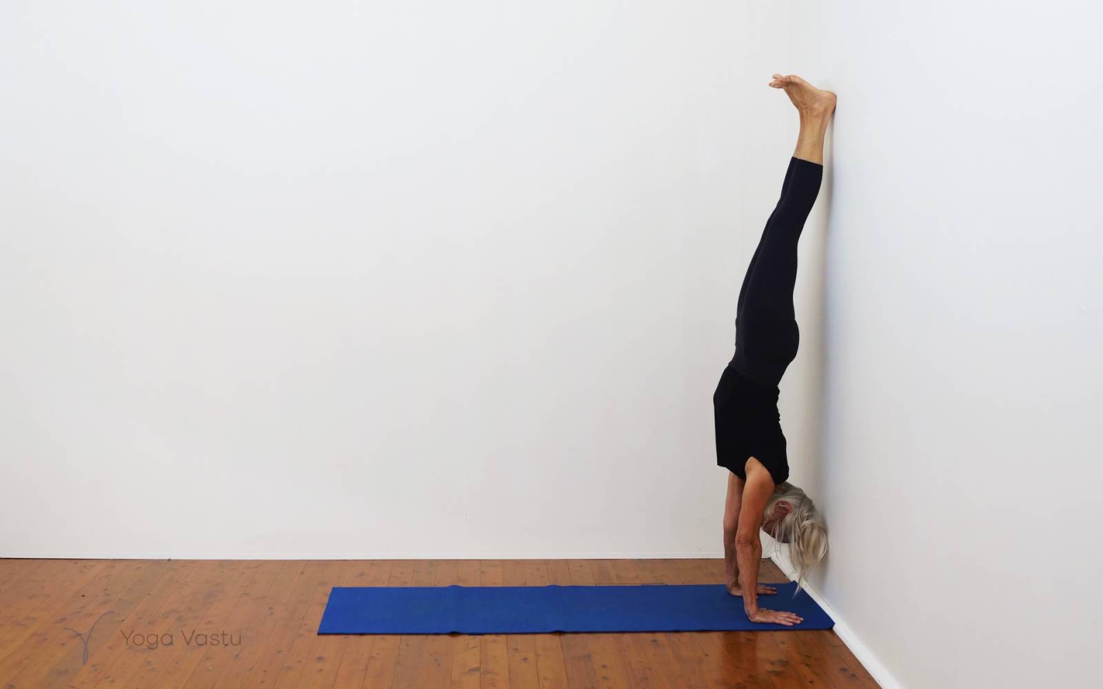 Online Iyengar yoga videos | Forward bends with emphasis on hips and hamstrings