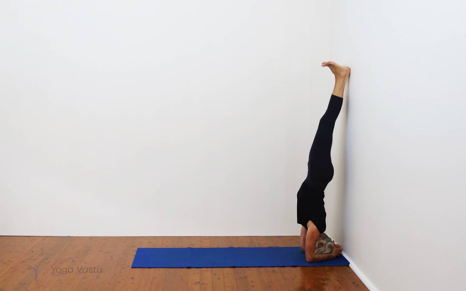 Online Iyengar yoga videos | Forward bends with emphasis on hips and hamstrings