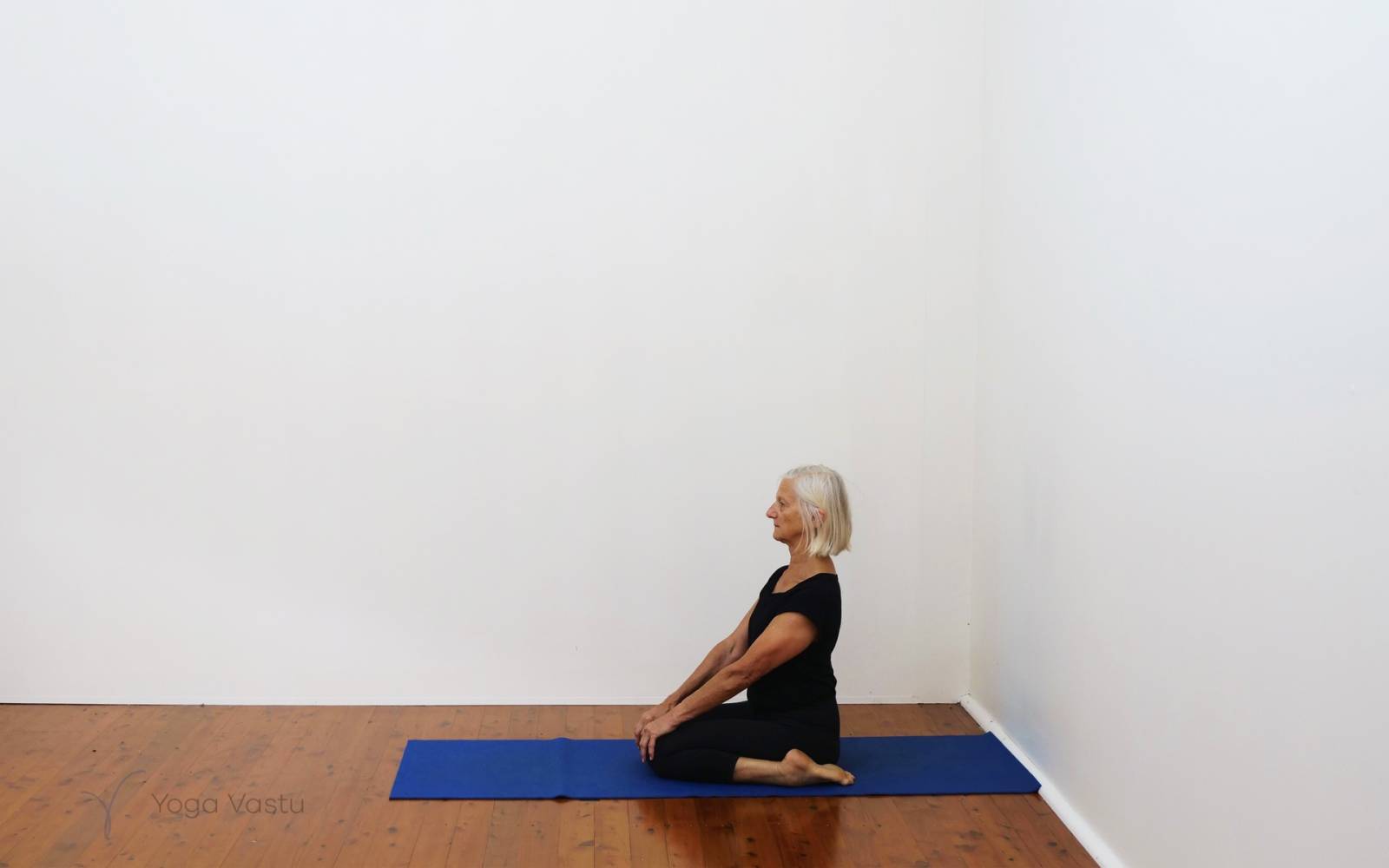 Online Iyengar yoga videos | Forward bends with emphasis on hips and hamstrings