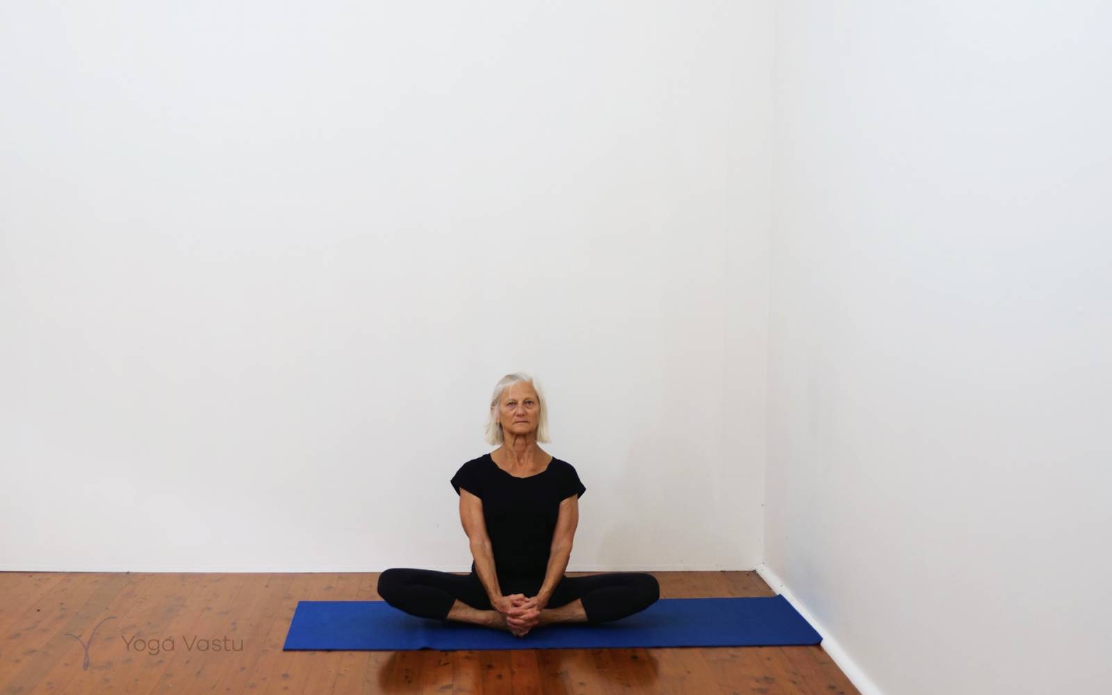 Online Iyengar yoga videos | Forward bends with emphasis on hips and hamstrings