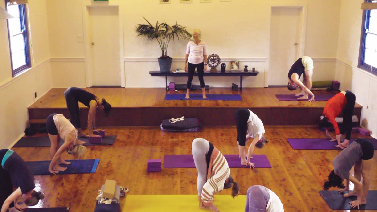 Tuesday Level 3 Class (1)(Standing/Forward Bends)