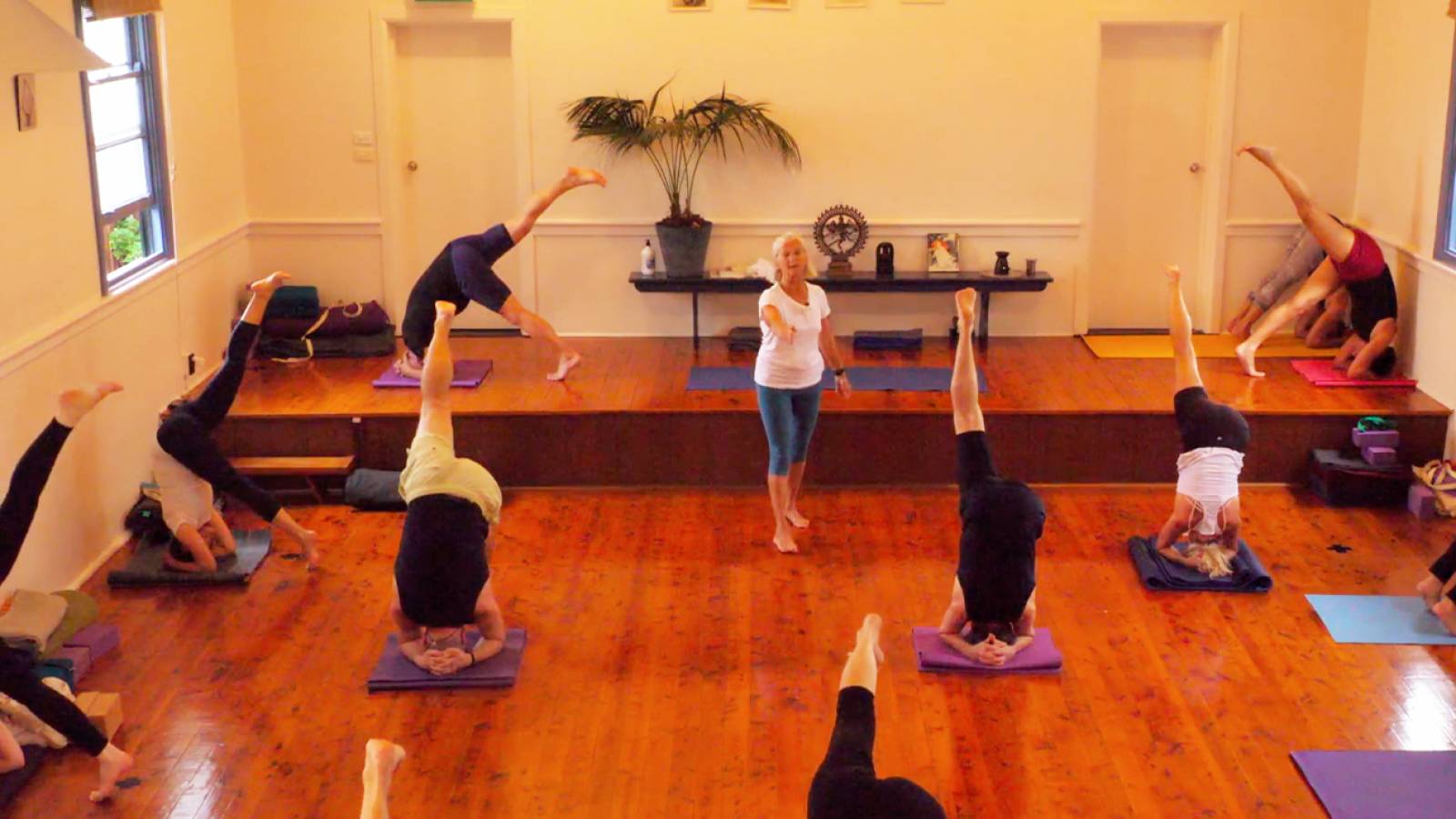 Tuesday Level 3 Class (6)(Forward Bends)