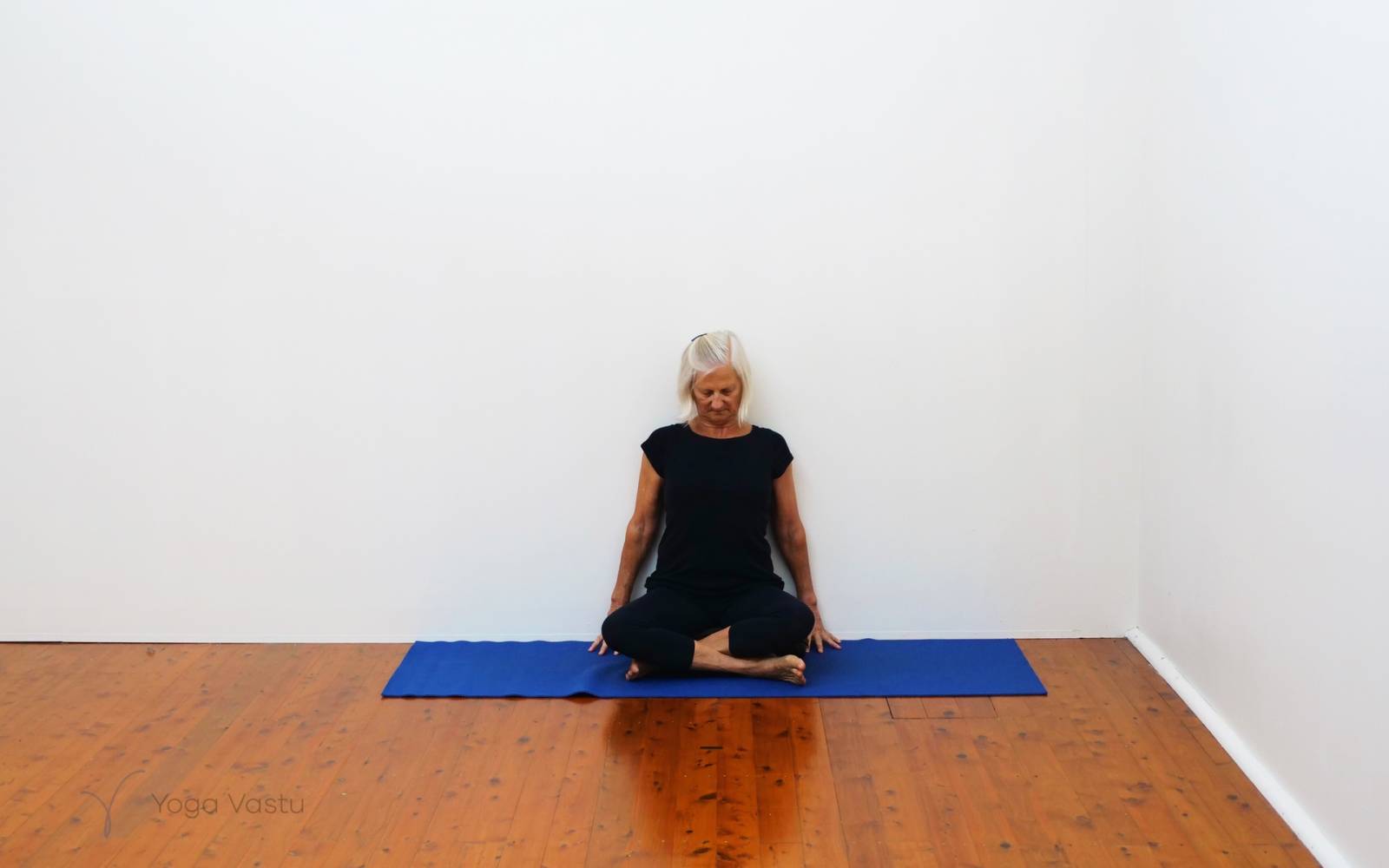 Online Iyengar yoga videos | Basic Pranayama session with wall support