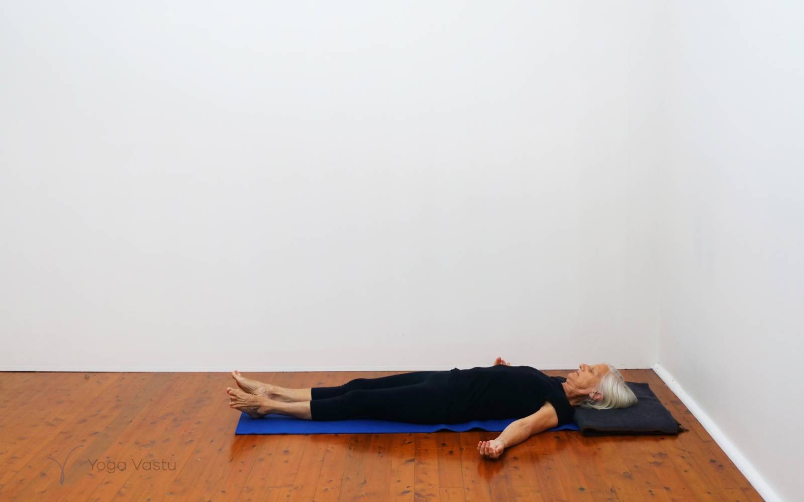 Online Iyengar yoga videos | Basic Pranayama session with wall support