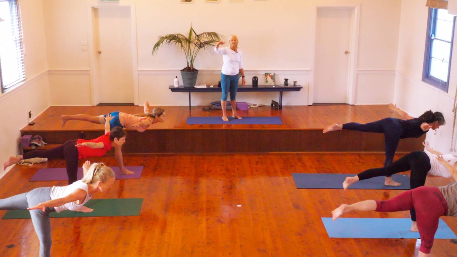 Wednesday Advanced Term 2 (Standing Poses)