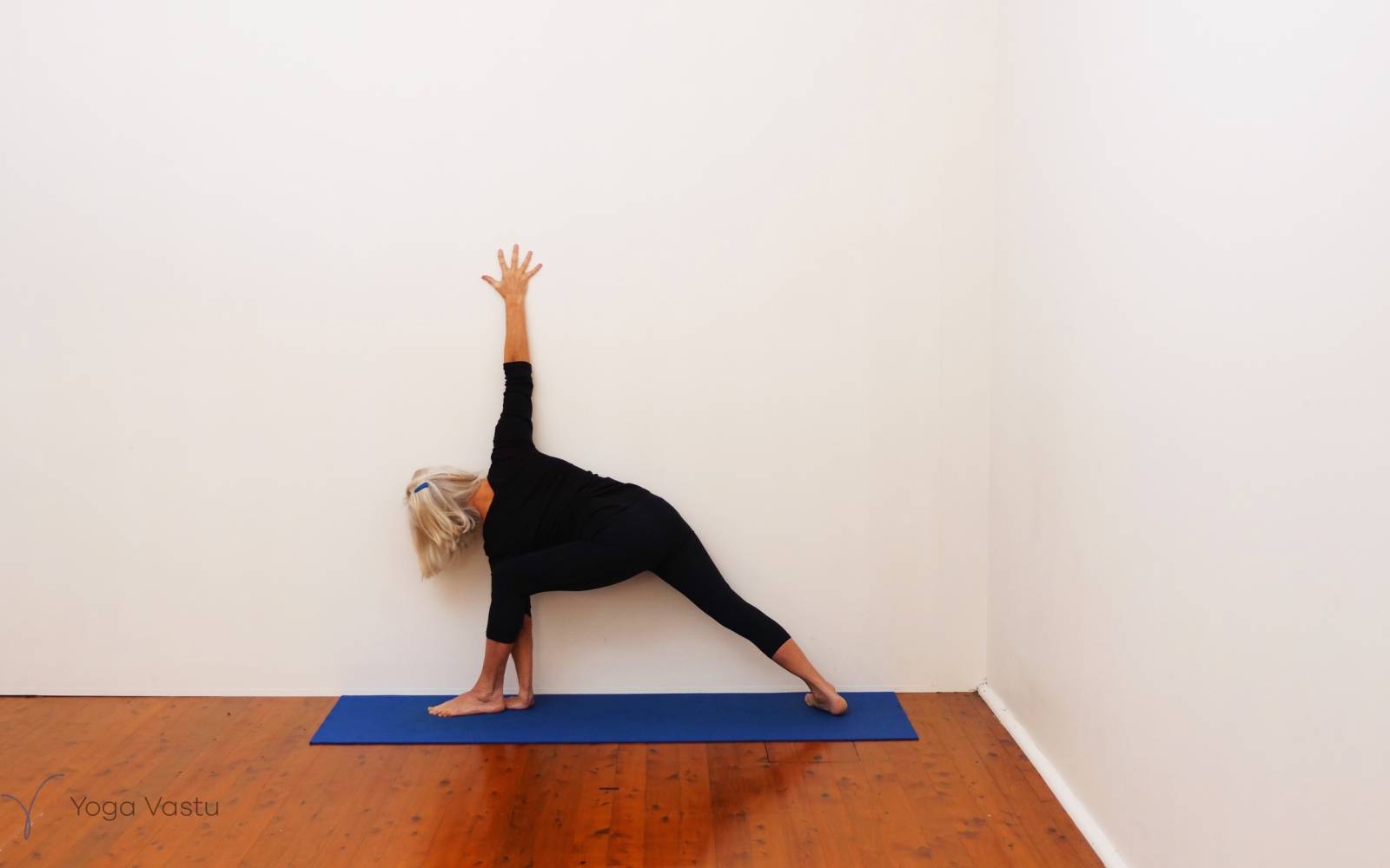 Online Iyengar yoga videos | Uplifting and Calming Sequence for General Level Students