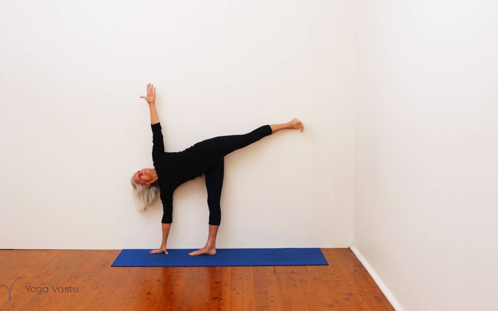 Online Iyengar yoga videos | Uplifting and Calming Sequence for General Level Students