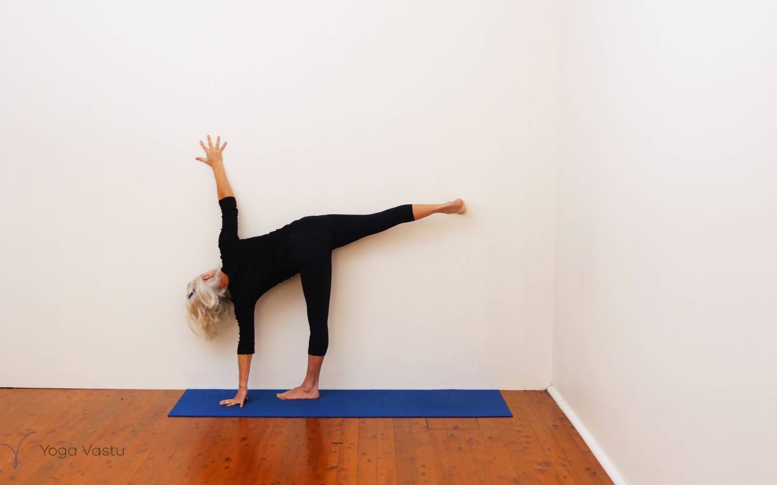 Online Iyengar yoga videos | Uplifting and Calming Sequence for General Level Students