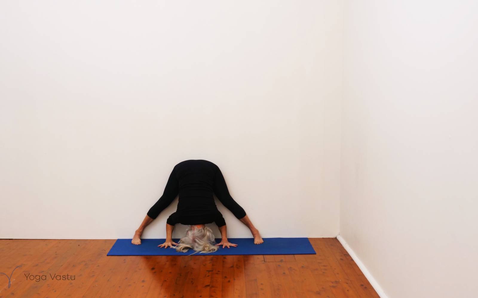 Online Iyengar yoga videos | Uplifting and Calming Sequence for General Level Students
