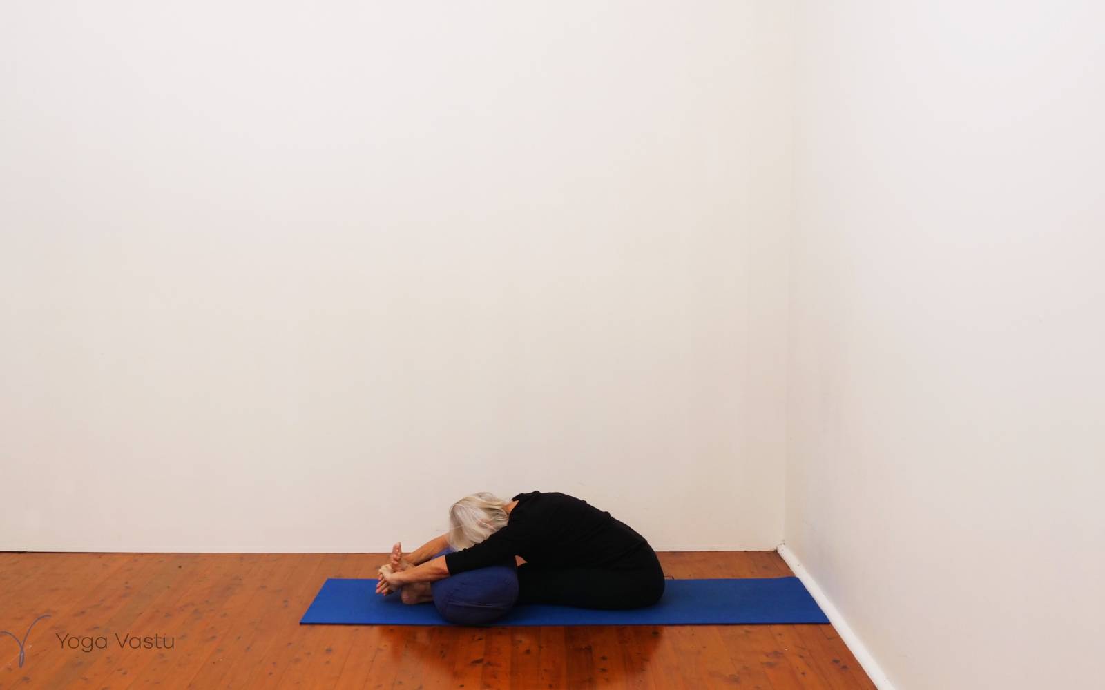 Online Iyengar yoga videos | Uplifting and Calming Sequence for General Level Students