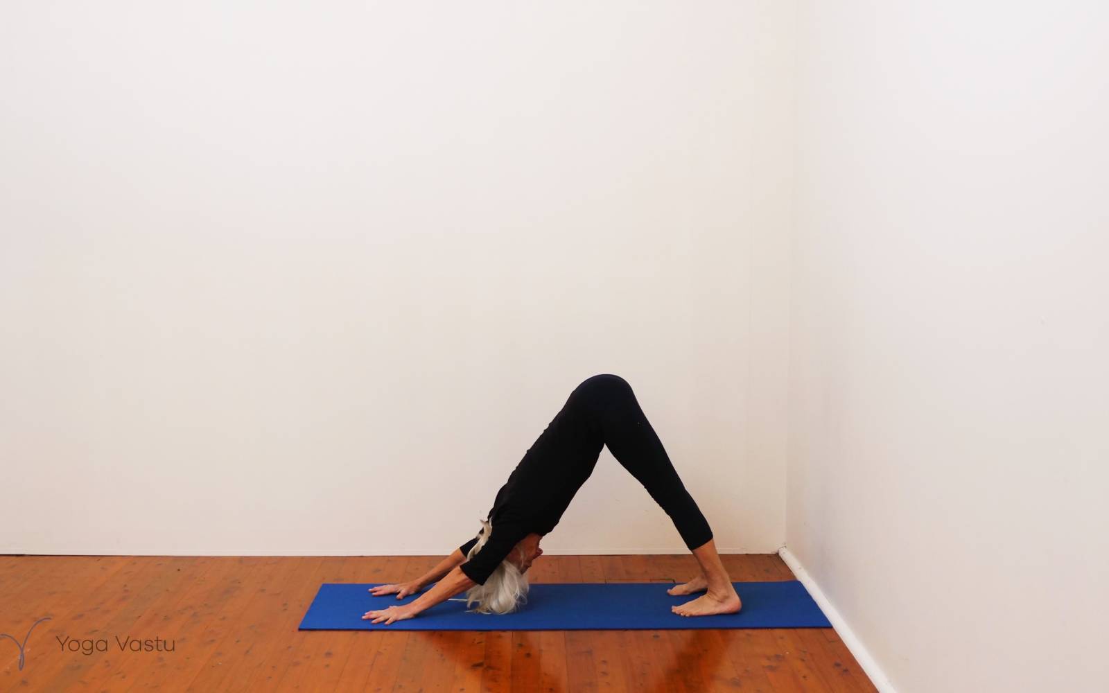 Online Iyengar yoga videos | Uplifting and Calming Sequence for General Level Students