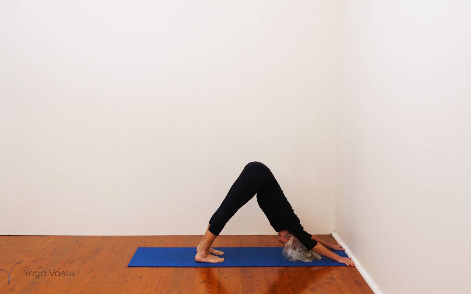 Online Iyengar yoga videos | Uplifting and Calming Sequence for General Level Students