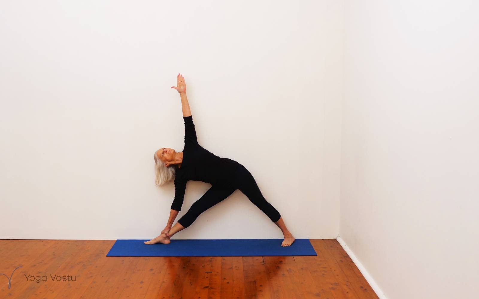 Online Iyengar yoga videos | Uplifting and Calming Sequence for General Level Students