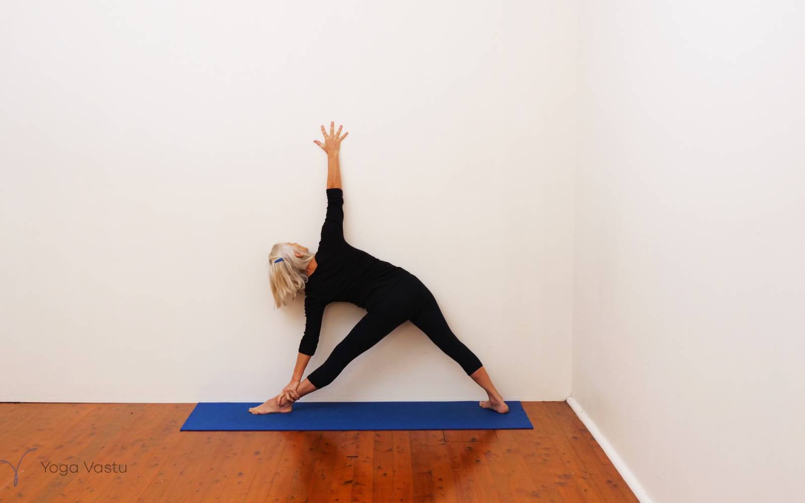 Online Iyengar yoga videos | Uplifting and Calming Sequence for General Level Students