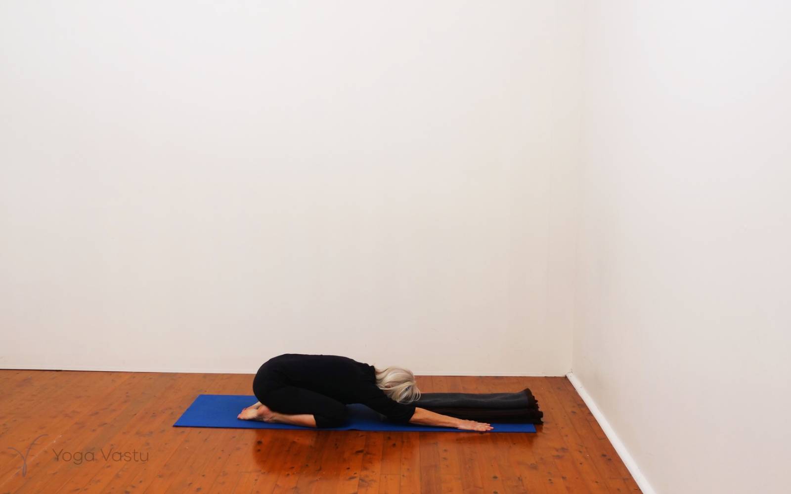 Online Iyengar yoga videos | Consolidate Your Foundations (Standing Poses)
