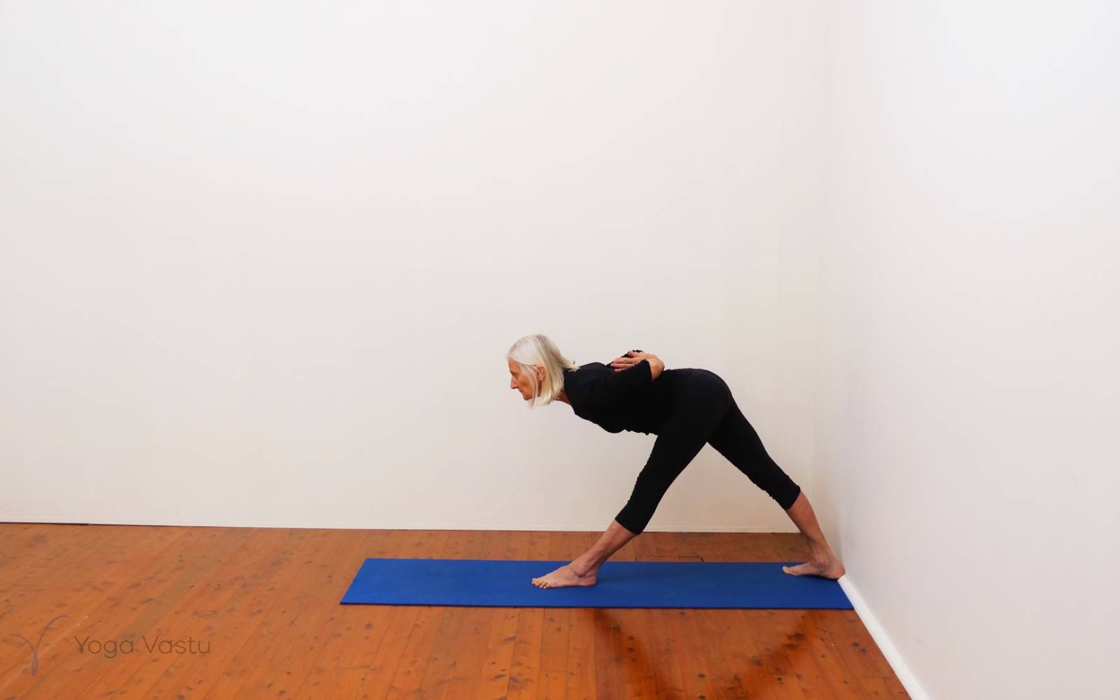Online Iyengar yoga videos | Consolidate Your Foundations (Standing Poses)