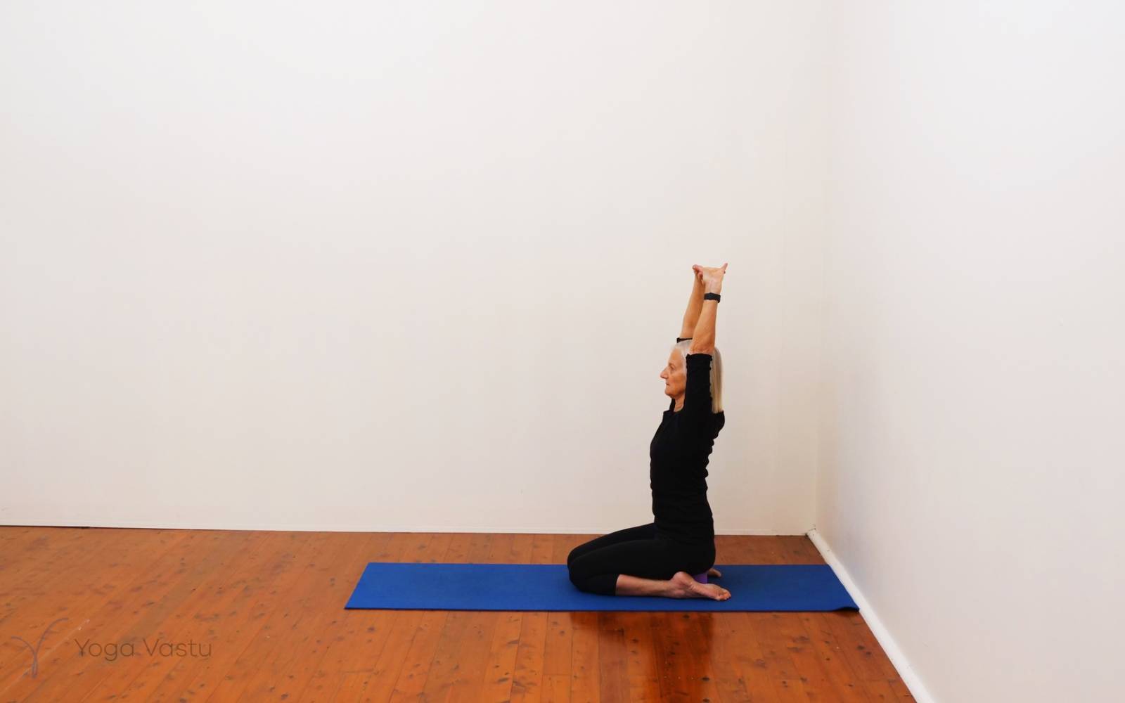 Online Iyengar yoga videos | Consolidate Your Foundations (Standing Poses)
