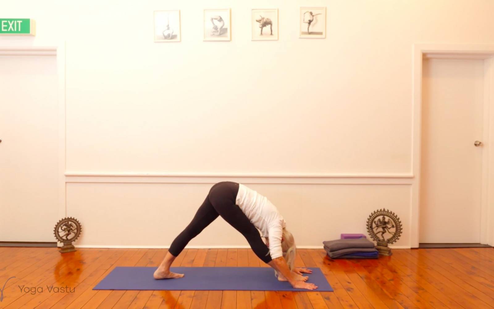 Online Iyengar yoga videos | Dynamic Miscellaneous Class (Level 3)