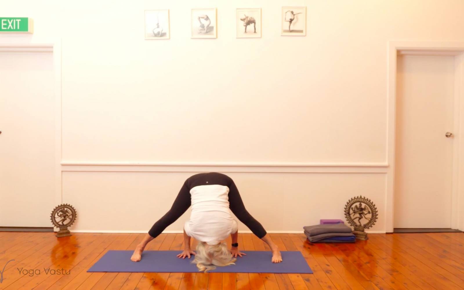 Online Iyengar yoga videos | Dynamic Miscellaneous Class (Level 3)