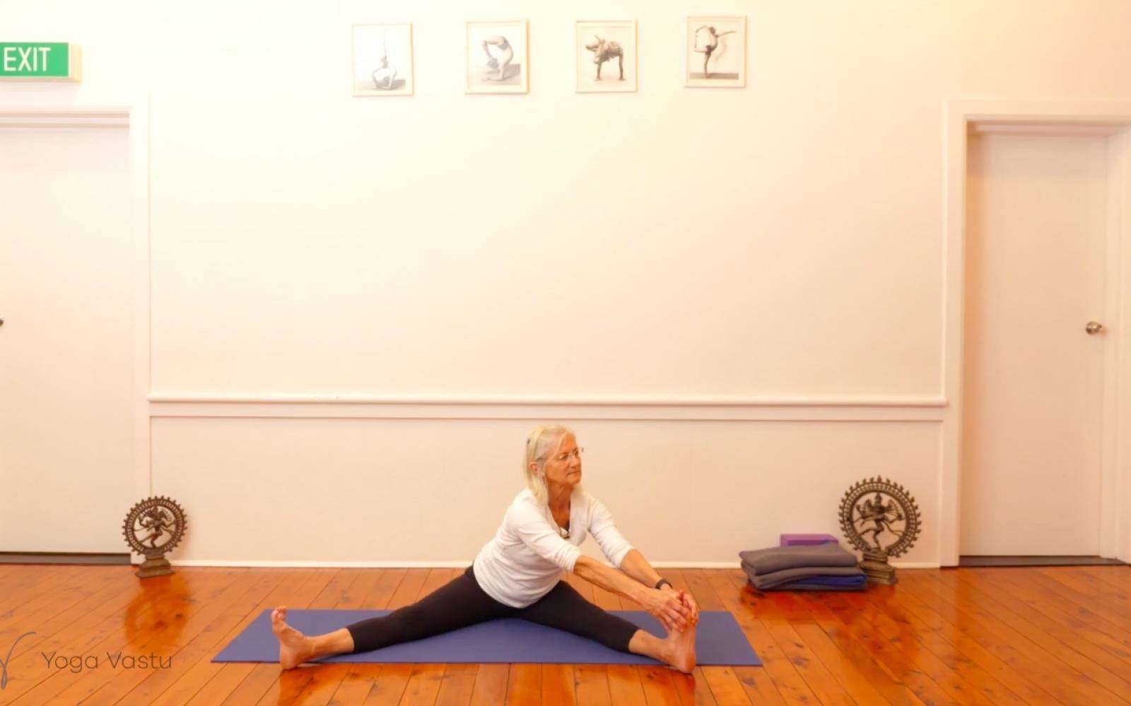 Online Iyengar yoga videos | Dynamic Miscellaneous Class (Level 3)