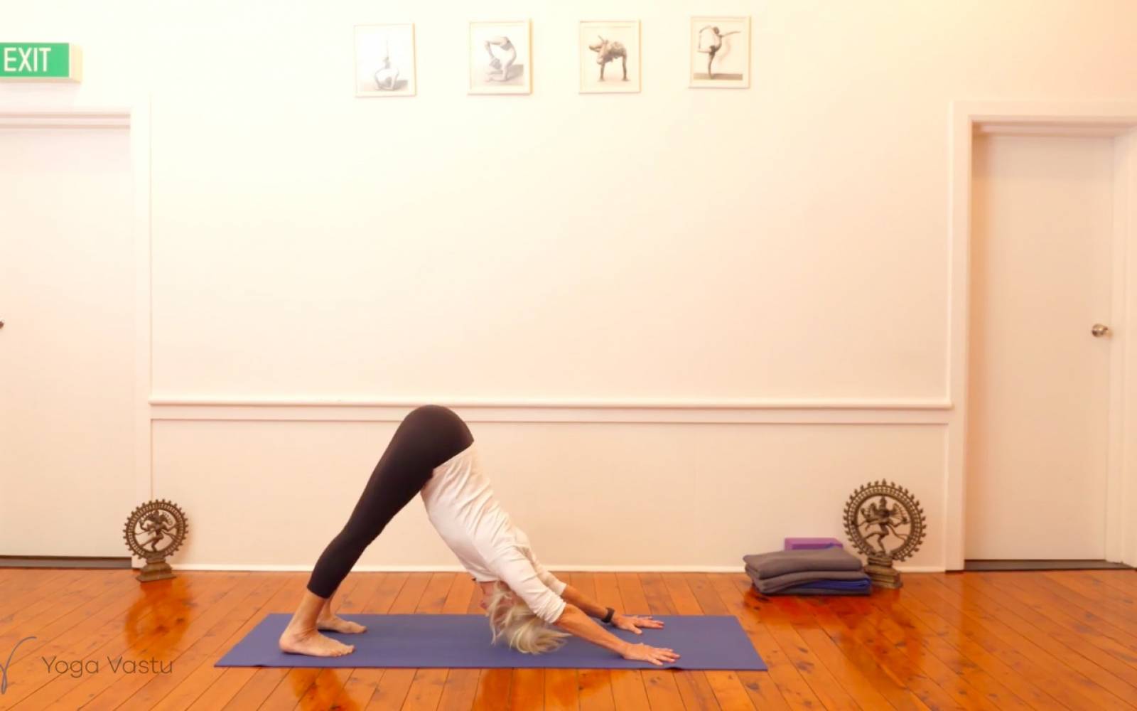 Online Iyengar yoga videos | Dynamic Miscellaneous Class (Level 3)