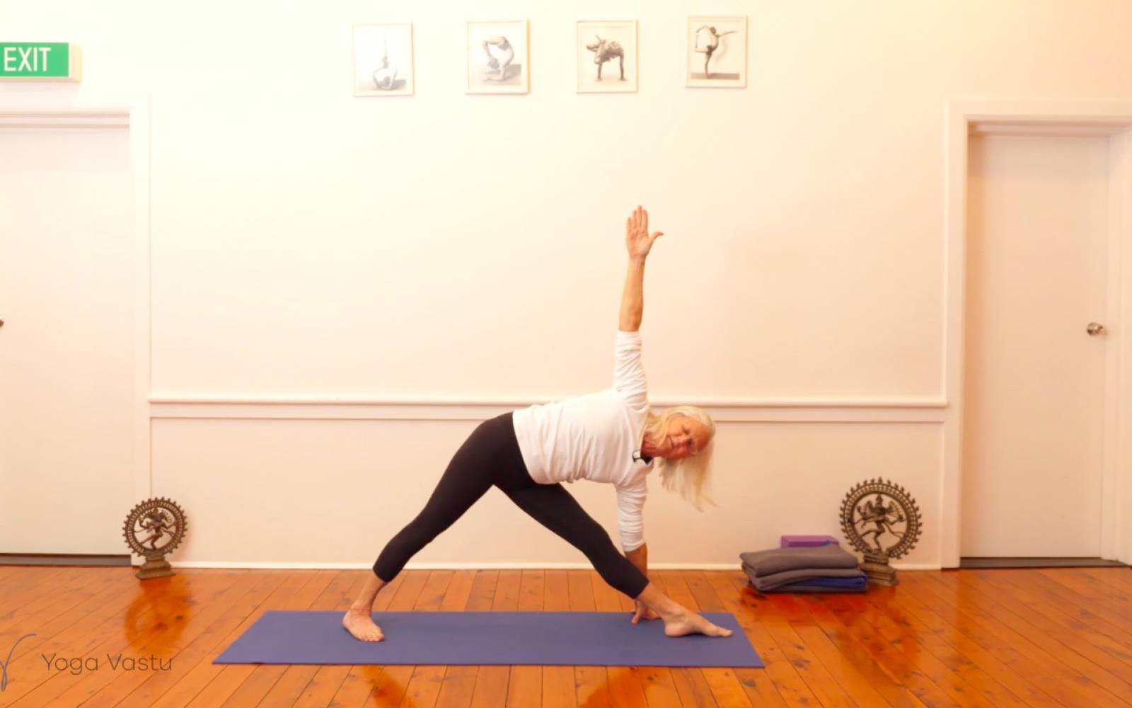 Online Iyengar yoga videos | Dynamic Miscellaneous Class (Level 3)